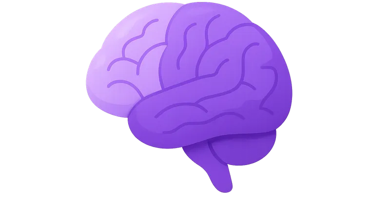 Cerebral cortex and lobes
