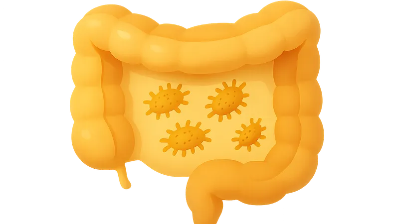 Intestinal infections