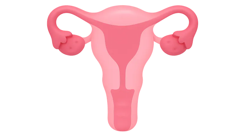 Female Reproductive Physiology