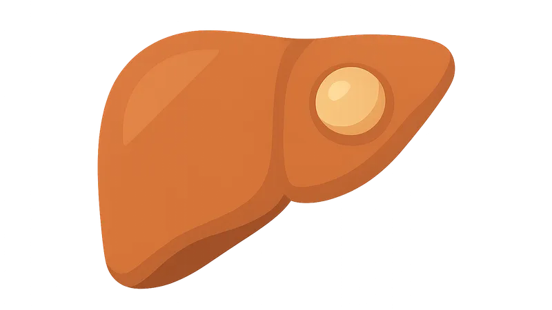Benign Liver Lesions