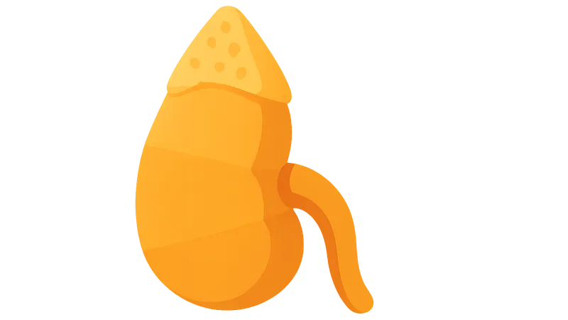 Glucocorticoid synthesis and regulation