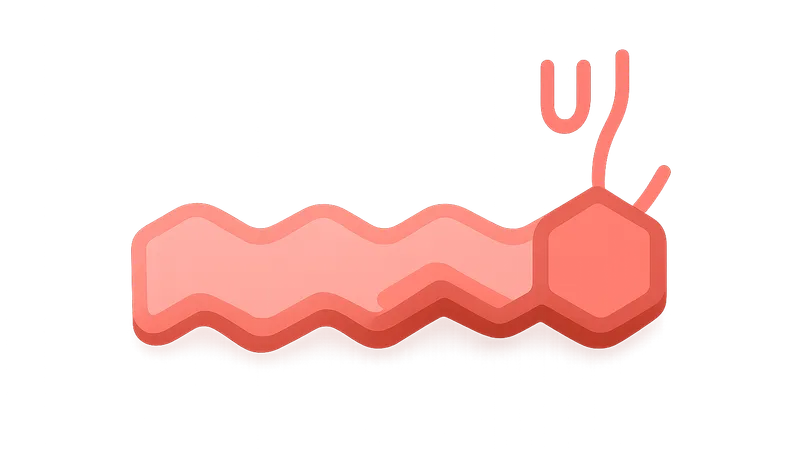 Prostaglandins and Eicosanoids
