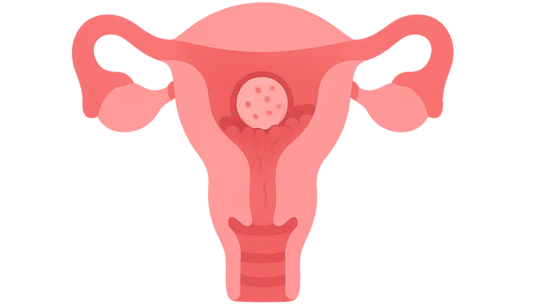 Implantation physiology