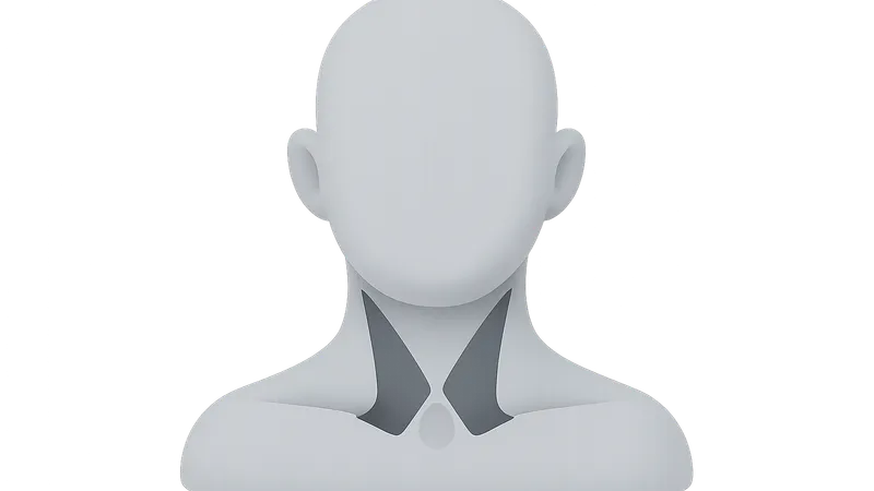 Triangles of the neck