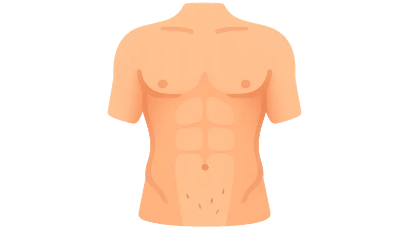 Abdominal surface landmarks