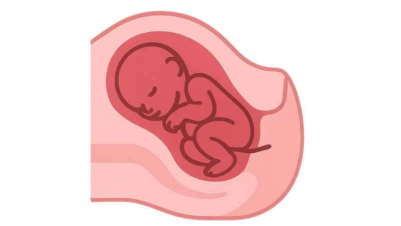 Cesarean Section Techniques