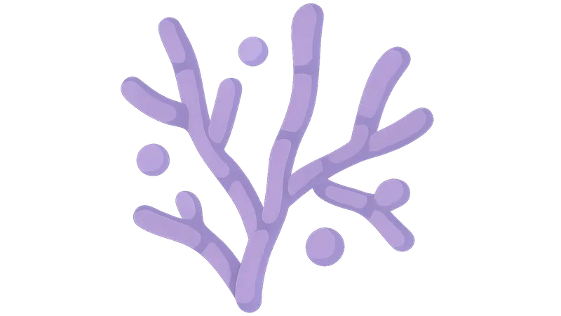 Actinomyces and Nocardia