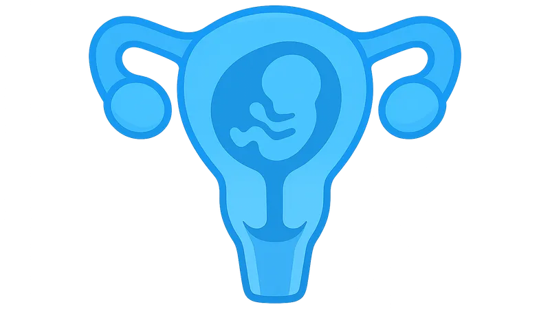 Medical Termination of Pregnancy Act