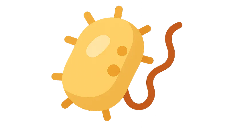 Genetics of Antimicrobial Resistance