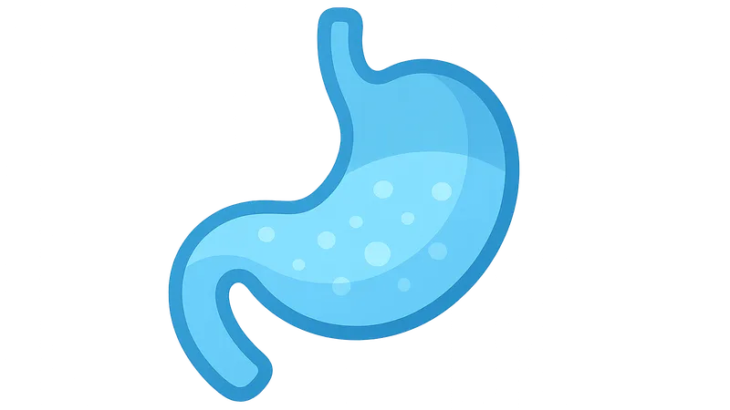 Full Stomach Considerations