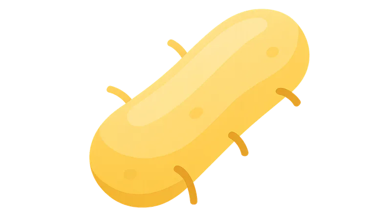 Antimycobacterial Drugs