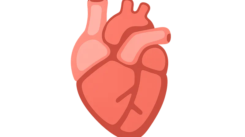 Isovolumetric contraction and relaxation