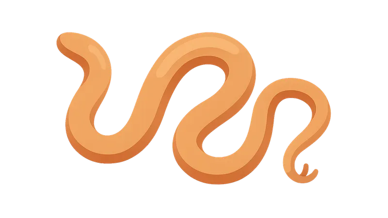 Soil-transmitted helminths