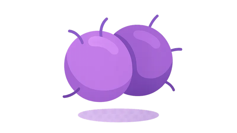 Neisseria species (meningitidis, gonorrhoeae)