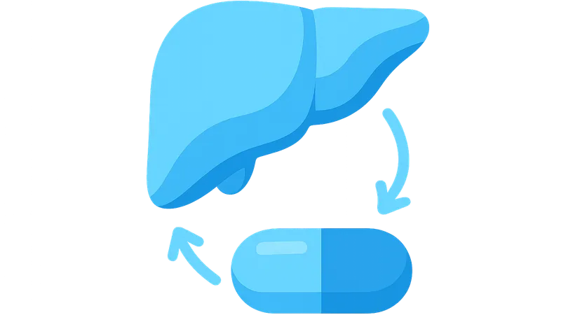 Drug Metabolism and Excretion