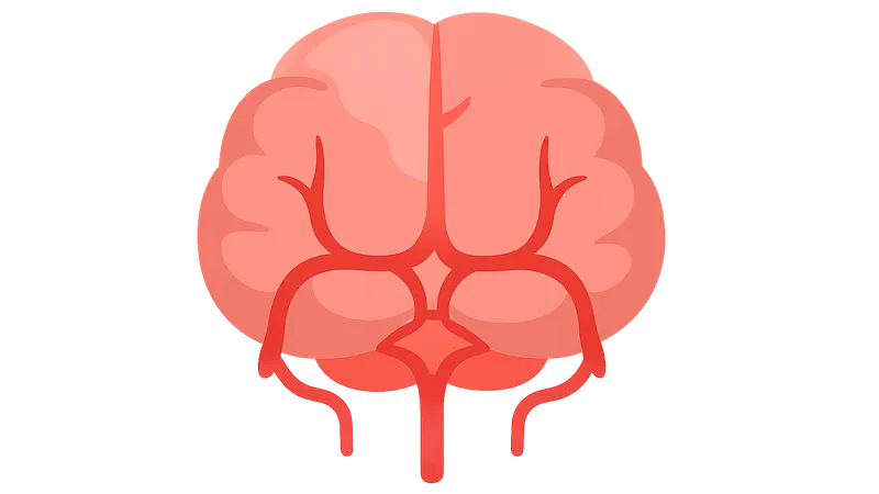 Posterior cerebral artery territory