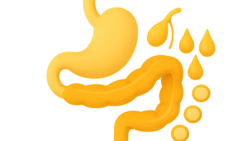 Lipid digestion and absorption