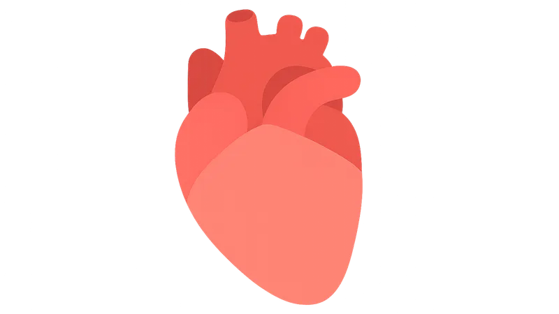 Shock: Classification and Management