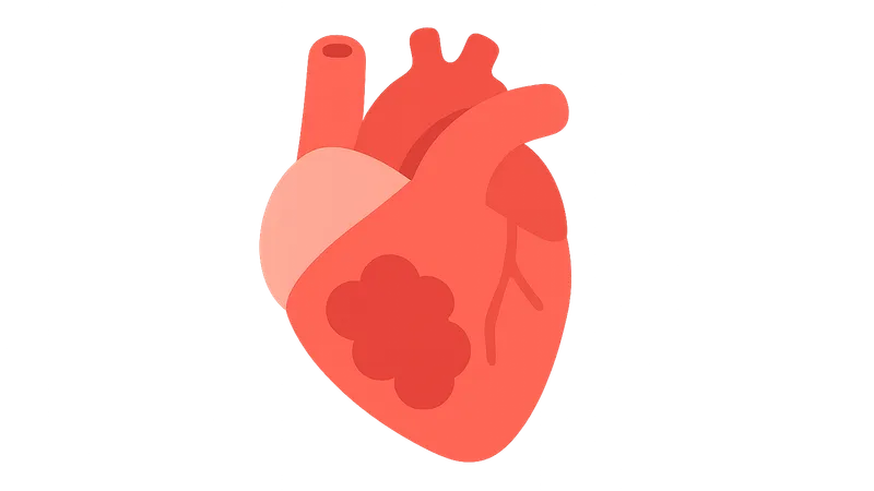 Cardiac manifestations of systemic diseases