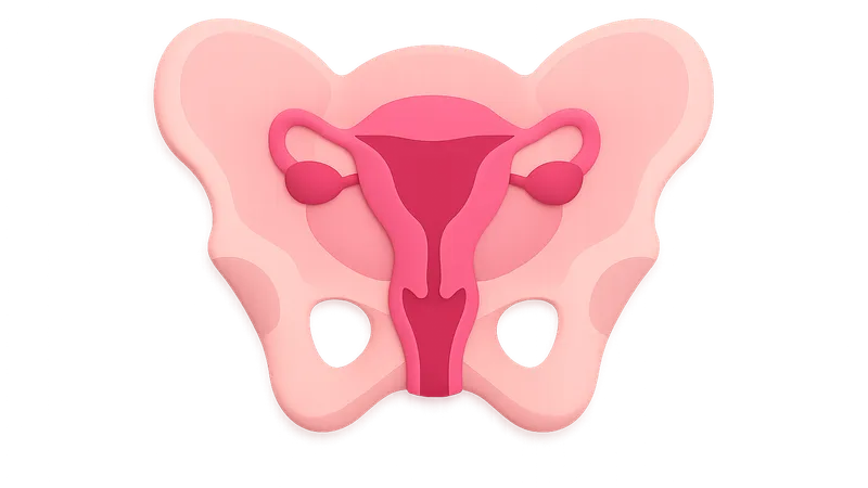 Female Pelvic Imaging