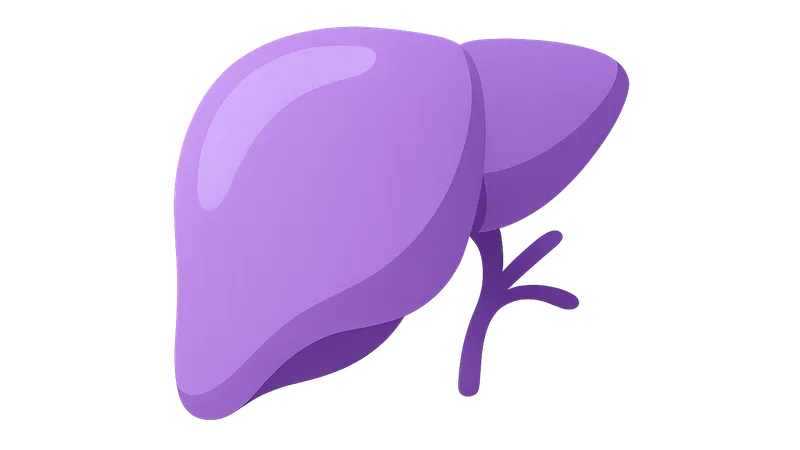 Antimetabolites (azathioprine, mycophenolate)