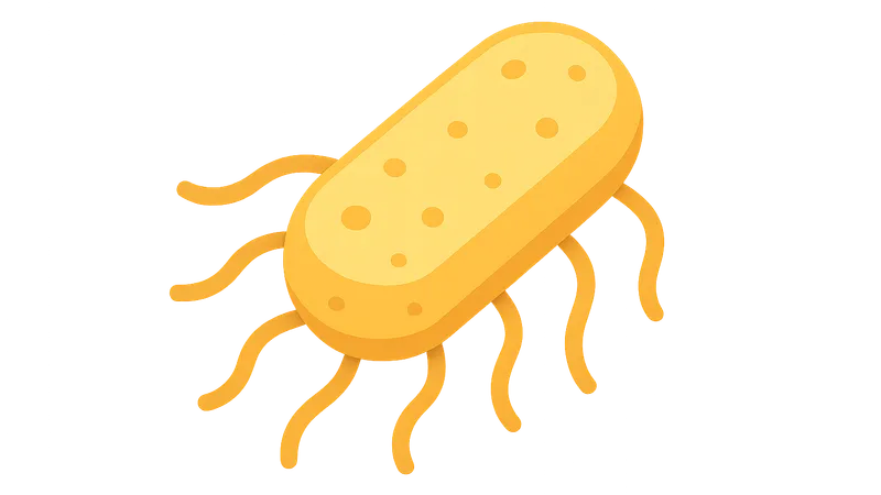 Foodborne bacterial pathogens
