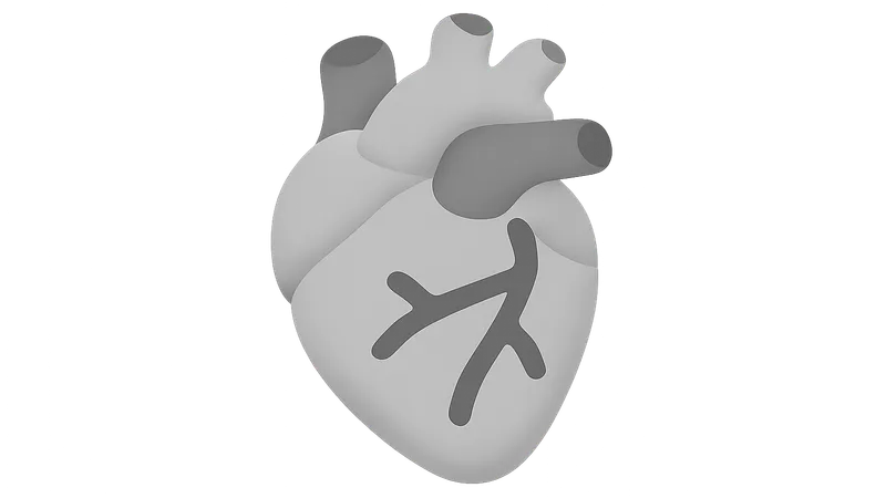 Non-Communicable Diseases