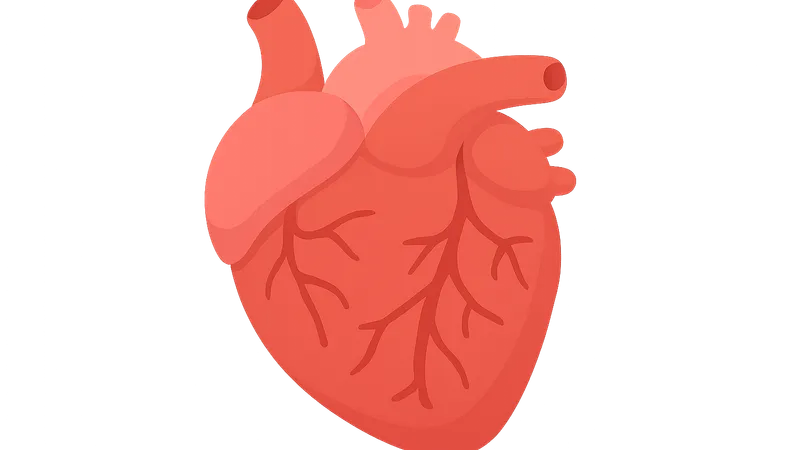 Myocarditis and cardiomyopathies