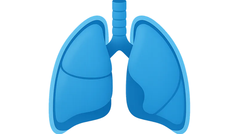 Pleura and Lungs
