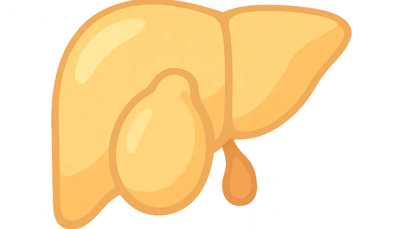 Fed state vs. fasting state metabolism