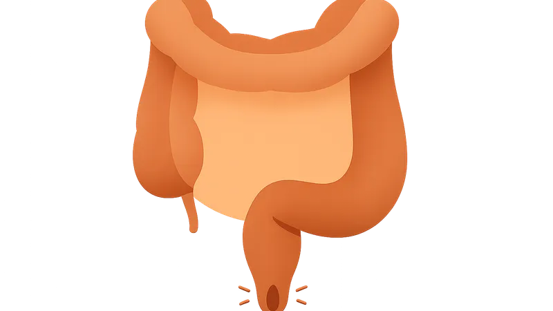 Rectum and anal canal