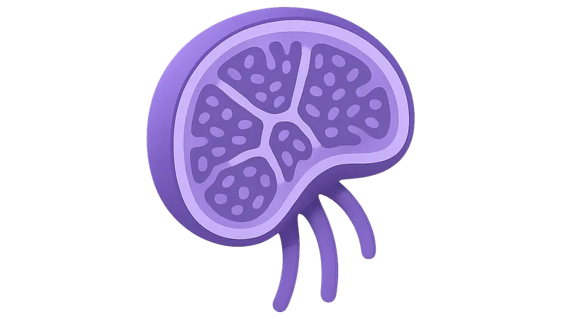 Lymphoid Organs and Immune System