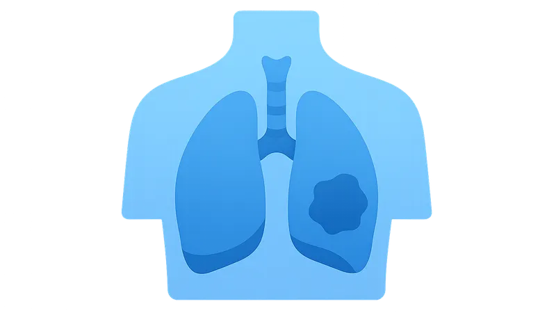Applied Anatomy and Clinical Correlations