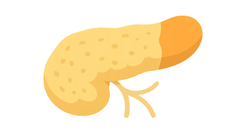 Exocrine pancreatic insufficiency