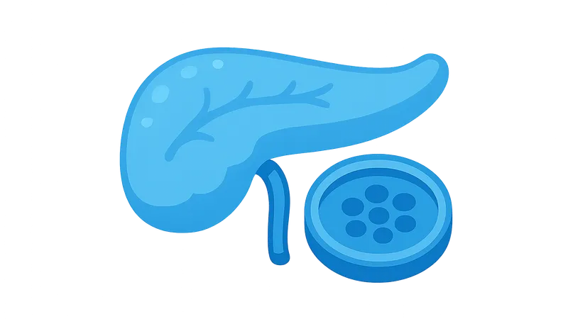 Pancreas and islet cell transplantation