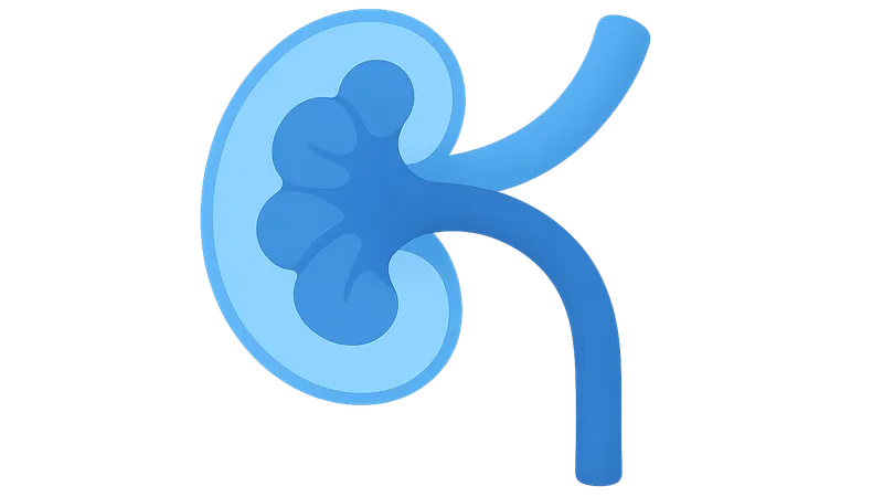 Renal Blood Flow and Glomerular Filtration