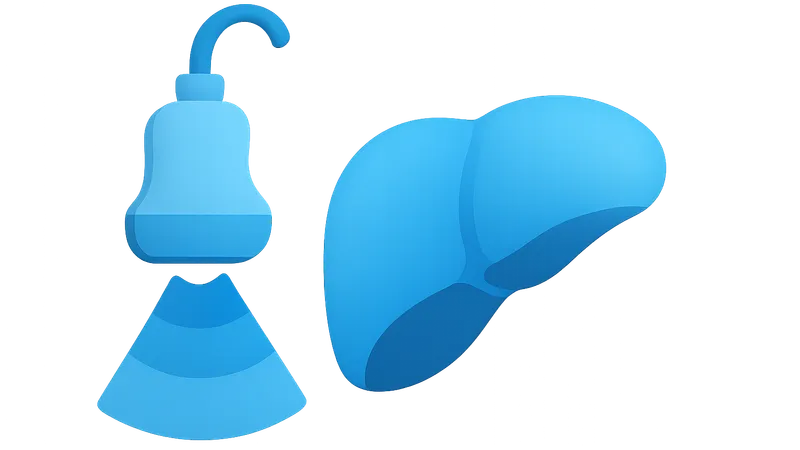 Perioperative Ultrasound