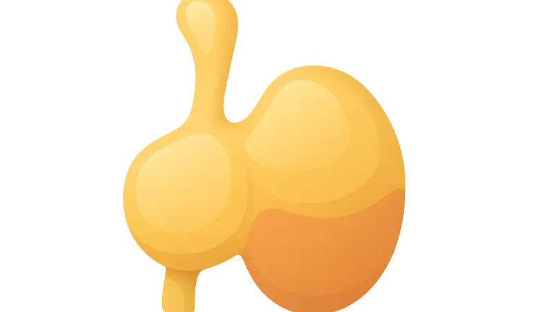 Hormonal Assays and Interpretation