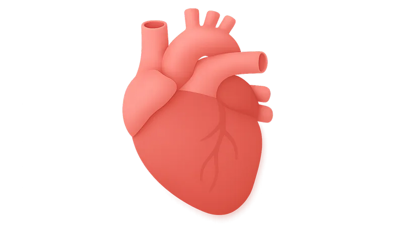 Preventive cardiology