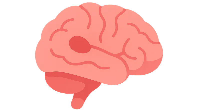 TIA management and ABCD2 score