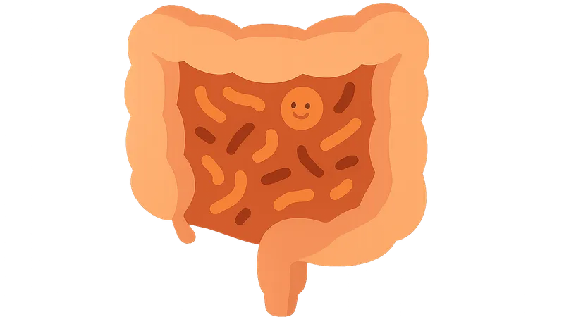 Gut microbiome interactions