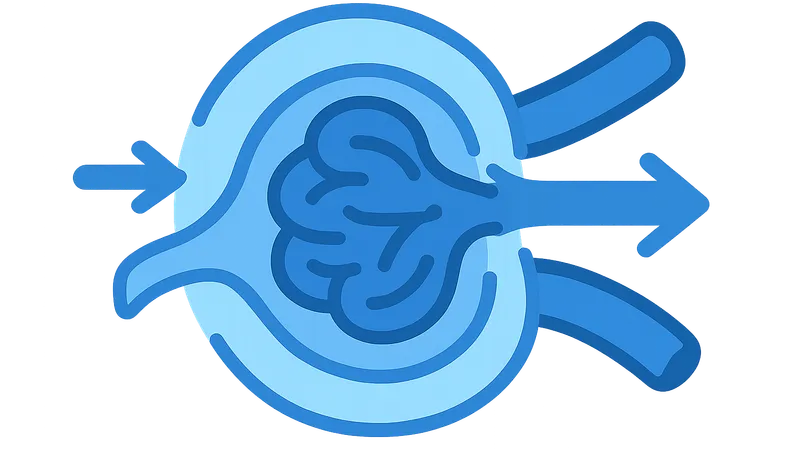Starling forces in glomerular filtration