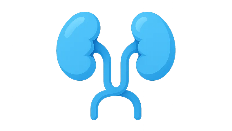 Congenital renal anomalies
