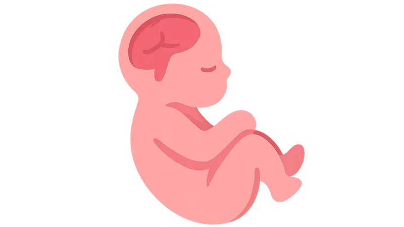 Congenital Anomalies