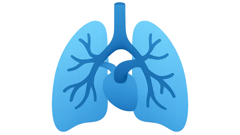Pulmonary Circulation