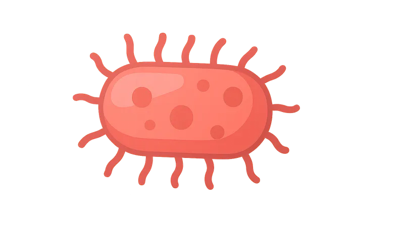 Bacterial Infections