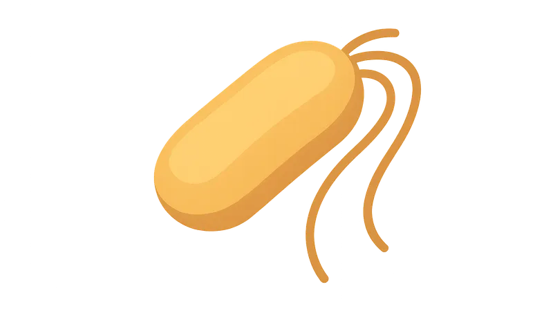 Pseudomonas and Related Bacteria