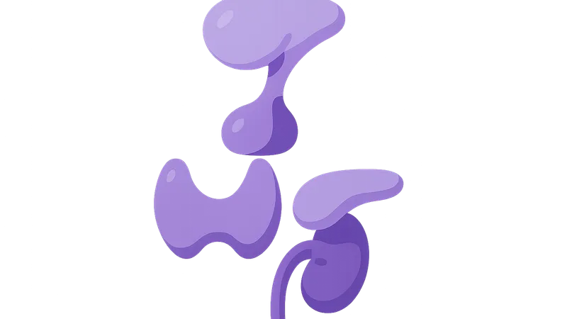 Hypothalamic-pituitary axis