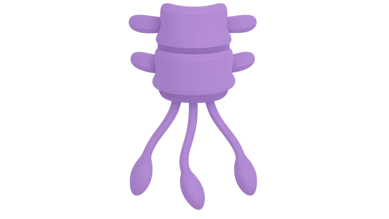 Parasympathetic sacral outflow