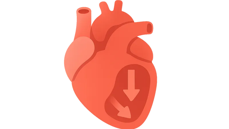 Ventricular filling dynamics